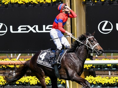 Spanish Mission To Stay In Australia After Melbourne Cup Run Image 1